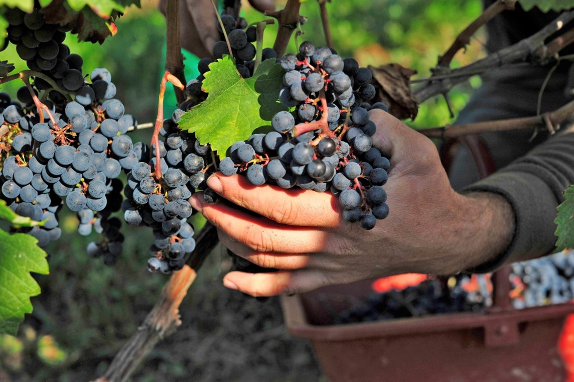 Concours saveurs nouvelle aquitaine en dordogne p&eacute;rigord 2022